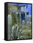 Jardin Majorelle, Marrakech, Morocco, North Africa, Africa-Nico Tondini-Framed Stretched Canvas