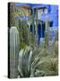 Jardin Majorelle, Marrakech, Morocco, North Africa, Africa-Nico Tondini-Stretched Canvas