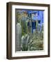 Jardin Majorelle, Marrakech, Morocco, North Africa, Africa-Nico Tondini-Framed Photographic Print