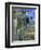 Jardin Majorelle, Marrakech, Morocco, North Africa, Africa-Nico Tondini-Framed Photographic Print