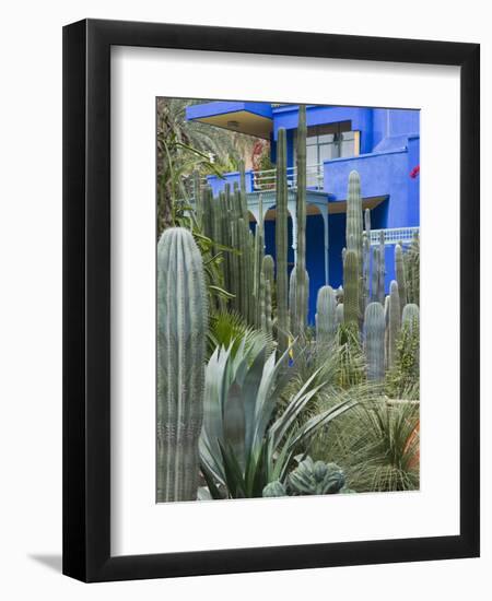 Jardin Majorelle, Marrakech, Morocco, North Africa, Africa-Nico Tondini-Framed Photographic Print