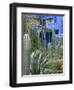 Jardin Majorelle, Marrakech, Morocco, North Africa, Africa-Nico Tondini-Framed Photographic Print