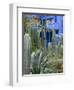 Jardin Majorelle, Marrakech, Morocco, North Africa, Africa-Nico Tondini-Framed Photographic Print