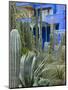 Jardin Majorelle, Marrakech, Morocco, North Africa, Africa-Nico Tondini-Mounted Photographic Print