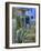 Jardin Majorelle, Marrakech, Morocco, North Africa, Africa-Nico Tondini-Framed Photographic Print