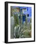 Jardin Majorelle, Marrakech, Morocco, North Africa, Africa-Nico Tondini-Framed Photographic Print