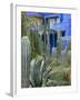 Jardin Majorelle, Marrakech, Morocco, North Africa, Africa-Nico Tondini-Framed Photographic Print