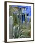 Jardin Majorelle, Marrakech, Morocco, North Africa, Africa-Nico Tondini-Framed Photographic Print