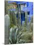 Jardin Majorelle, Marrakech, Morocco, North Africa, Africa-Nico Tondini-Mounted Photographic Print