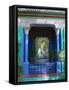 Jardin Majorelle, Marrakech, Morocco, North Africa, Africa-Nico Tondini-Framed Stretched Canvas