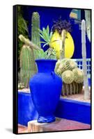 Jardin Majorelle - Marrakech - Morocco - North Africa - Africa-Philippe Hugonnard-Framed Stretched Canvas