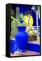 Jardin Majorelle - Marrakech - Morocco - North Africa - Africa-Philippe Hugonnard-Framed Stretched Canvas