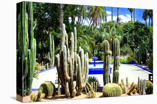 Jardin Majorelle - Marrakech - Morocco - North Africa - Africa-Philippe Hugonnard-Stretched Canvas