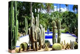 Jardin Majorelle - Marrakech - Morocco - North Africa - Africa-Philippe Hugonnard-Stretched Canvas