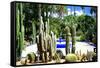 Jardin Majorelle - Marrakech - Morocco - North Africa - Africa-Philippe Hugonnard-Framed Stretched Canvas