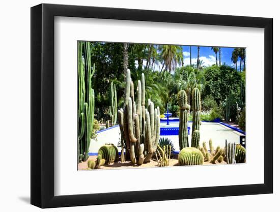 Jardin Majorelle - Marrakech - Morocco - North Africa - Africa-Philippe Hugonnard-Framed Photographic Print