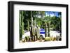 Jardin Majorelle - Marrakech - Morocco - North Africa - Africa-Philippe Hugonnard-Framed Photographic Print