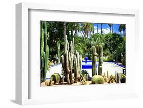 Jardin Majorelle - Marrakech - Morocco - North Africa - Africa-Philippe Hugonnard-Framed Photographic Print