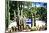 Jardin Majorelle - Marrakech - Morocco - North Africa - Africa-Philippe Hugonnard-Mounted Photographic Print