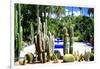 Jardin Majorelle - Marrakech - Morocco - North Africa - Africa-Philippe Hugonnard-Framed Photographic Print