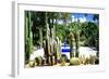 Jardin Majorelle - Marrakech - Morocco - North Africa - Africa-Philippe Hugonnard-Framed Photographic Print