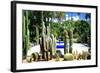 Jardin Majorelle - Marrakech - Morocco - North Africa - Africa-Philippe Hugonnard-Framed Photographic Print