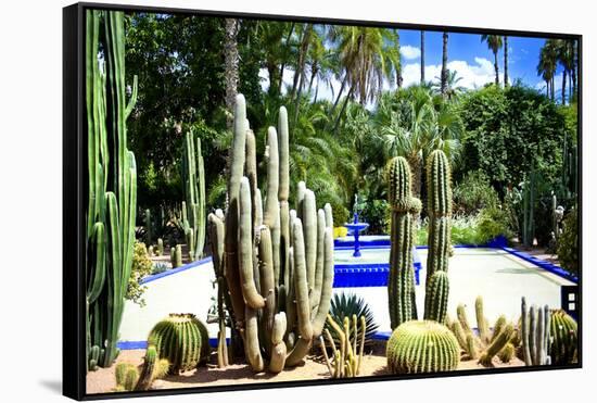 Jardin Majorelle - Marrakech - Morocco - North Africa - Africa-Philippe Hugonnard-Framed Stretched Canvas