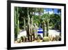 Jardin Majorelle - Marrakech - Morocco - North Africa - Africa-Philippe Hugonnard-Framed Photographic Print