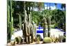 Jardin Majorelle - Marrakech - Morocco - North Africa - Africa-Philippe Hugonnard-Mounted Photographic Print