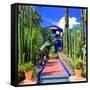 Jardin Majorelle - Marrakech - Morocco - North Africa - Africa-Philippe Hugonnard-Framed Stretched Canvas