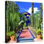 Jardin Majorelle - Marrakech - Morocco - North Africa - Africa-Philippe Hugonnard-Stretched Canvas