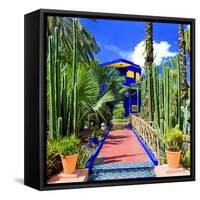 Jardin Majorelle - Marrakech - Morocco - North Africa - Africa-Philippe Hugonnard-Framed Stretched Canvas