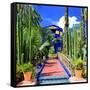 Jardin Majorelle - Marrakech - Morocco - North Africa - Africa-Philippe Hugonnard-Framed Stretched Canvas