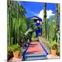 Jardin Majorelle - Marrakech - Morocco - North Africa - Africa-Philippe Hugonnard-Mounted Photographic Print