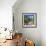 Jardin Majorelle - Marrakech - Morocco - North Africa - Africa-Philippe Hugonnard-Framed Photographic Print displayed on a wall