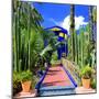 Jardin Majorelle - Marrakech - Morocco - North Africa - Africa-Philippe Hugonnard-Mounted Photographic Print