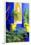 Jardin Majorelle - Marrakech - Morocco - North Africa - Africa-Philippe Hugonnard-Framed Photographic Print