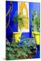 Jardin Majorelle - Marrakech - Morocco - North Africa - Africa-Philippe Hugonnard-Mounted Premium Photographic Print