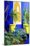 Jardin Majorelle - Marrakech - Morocco - North Africa - Africa-Philippe Hugonnard-Mounted Photographic Print