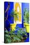 Jardin Majorelle - Marrakech - Morocco - North Africa - Africa-Philippe Hugonnard-Stretched Canvas