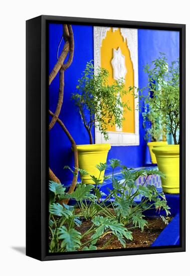 Jardin Majorelle - Marrakech - Morocco - North Africa - Africa-Philippe Hugonnard-Framed Stretched Canvas