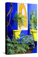 Jardin Majorelle - Marrakech - Morocco - North Africa - Africa-Philippe Hugonnard-Stretched Canvas