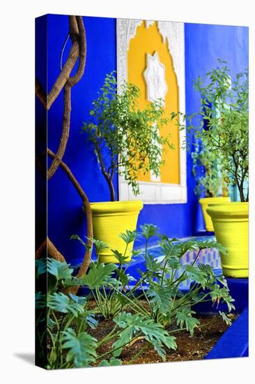 Jardin Majorelle - Marrakech - Morocco - North Africa - Africa-Philippe Hugonnard-Stretched Canvas