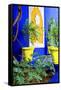 Jardin Majorelle - Marrakech - Morocco - North Africa - Africa-Philippe Hugonnard-Framed Stretched Canvas