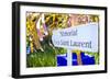 Jardin Majorelle - Marrakech - Morocco - North Africa - Africa-Philippe Hugonnard-Framed Photographic Print