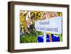 Jardin Majorelle - Marrakech - Morocco - North Africa - Africa-Philippe Hugonnard-Framed Photographic Print