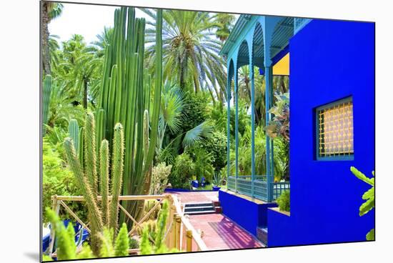 Jardin Majorelle - Marrakech - Morocco - North Africa - Africa-Philippe Hugonnard-Mounted Photographic Print