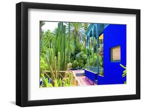 Jardin Majorelle - Marrakech - Morocco - North Africa - Africa-Philippe Hugonnard-Framed Photographic Print