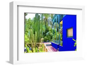 Jardin Majorelle - Marrakech - Morocco - North Africa - Africa-Philippe Hugonnard-Framed Photographic Print