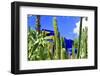 Jardin Majorelle - Marrakech - Morocco - North Africa - Africa-Philippe Hugonnard-Framed Photographic Print